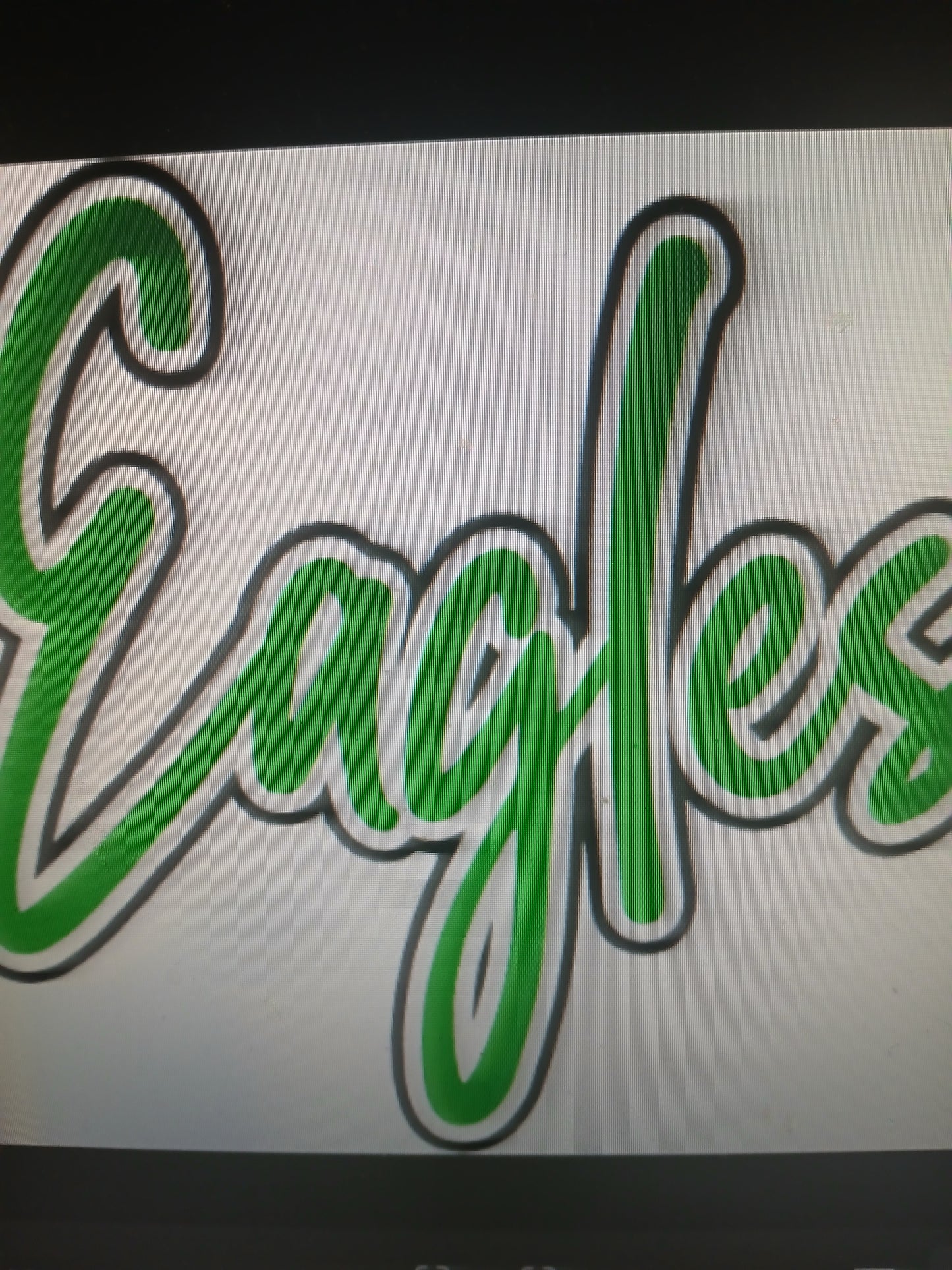 Eagles Hoodie, Tee Shirt, Green or Black Script