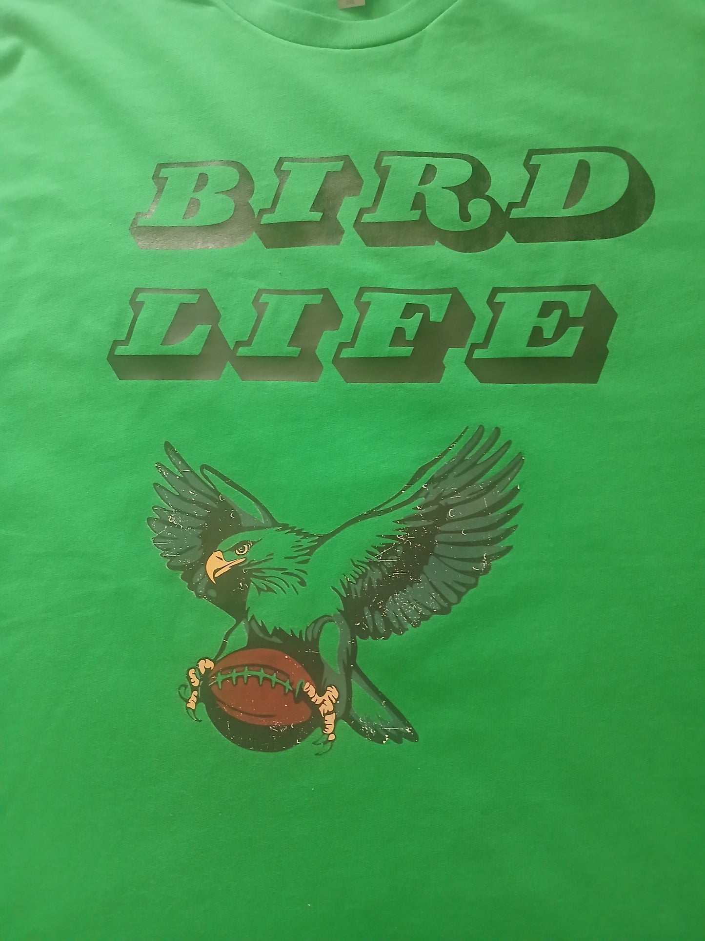 Eagles Bird Life Tee shirt or Hoodie